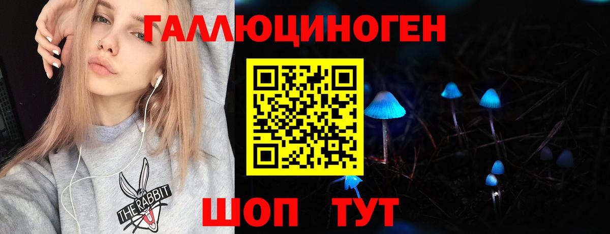 Галлюциногенные грибы Psilocybe Берёзовский